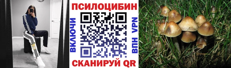 как найти наркотики  Верхний Уфалей  Галлюциногенные грибы Psilocybe 